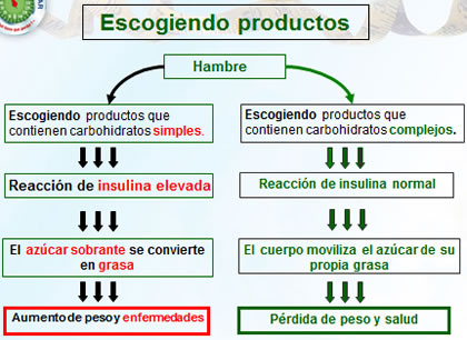 Cómo adelgazar saludablemente - Curso gratis de enplenitud.com